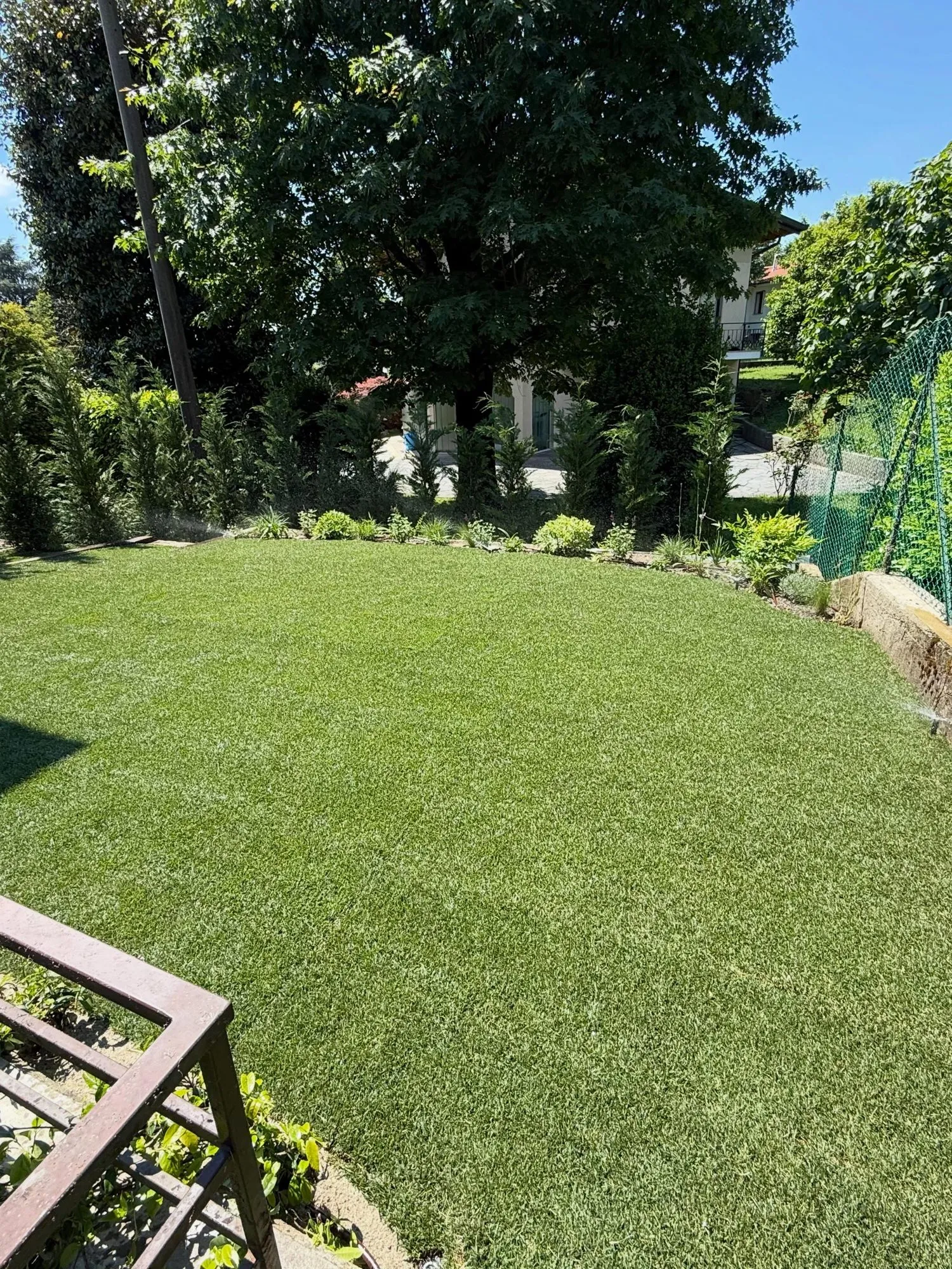 Prato a rotoli appena posato in un giardino privato con aiuole lungo il confine