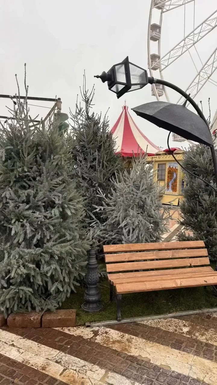 Abeti, panchina e lampione dell’allestimento natalizio in Viale Ceccarini a Riccione