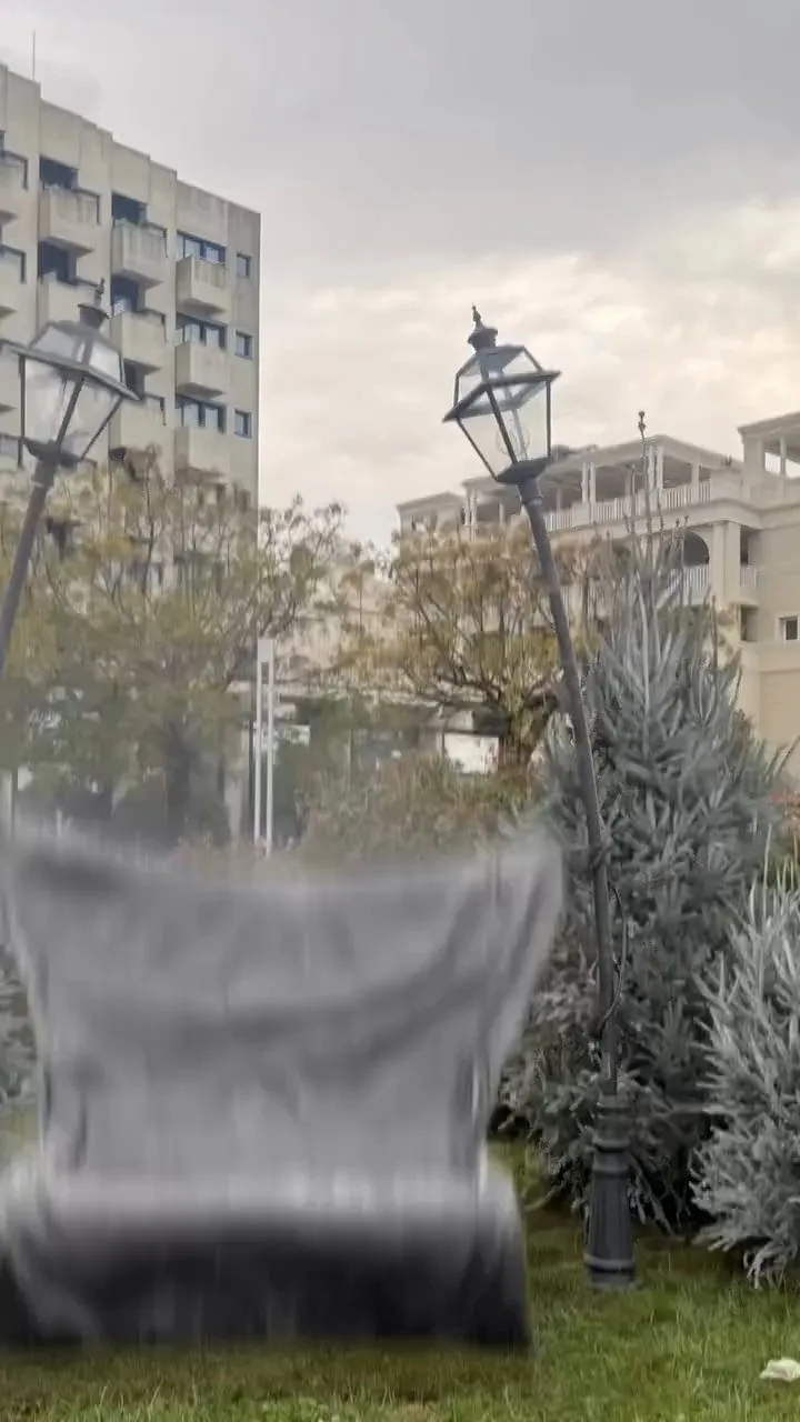 Allestimento natalizio con abeti in Viale Ceccarini a Riccione, foto 2
