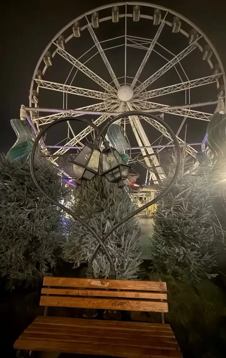 Allestimento natalizio con abeti in Viale Ceccarini a Riccione, foto 3