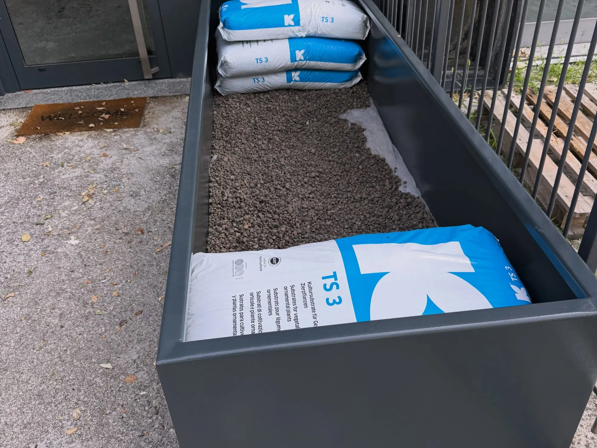 Fioriera su misura con ulivo all’ingresso di un’azienda, foto 2