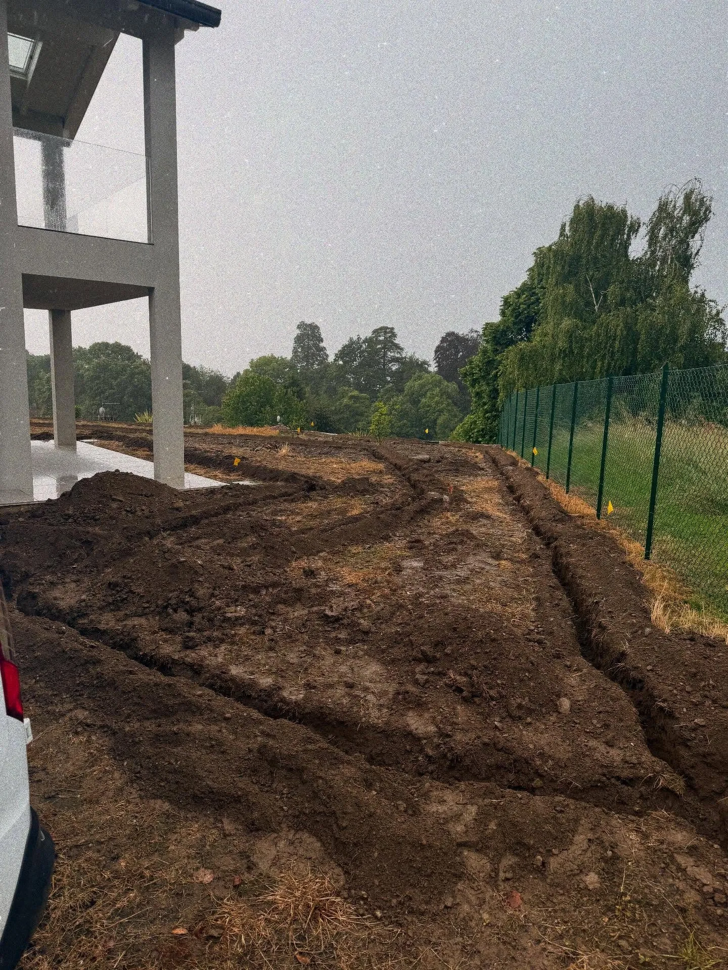 Giardino nuovo con prato a rotoli, irrigazione e ortensie, foto 4