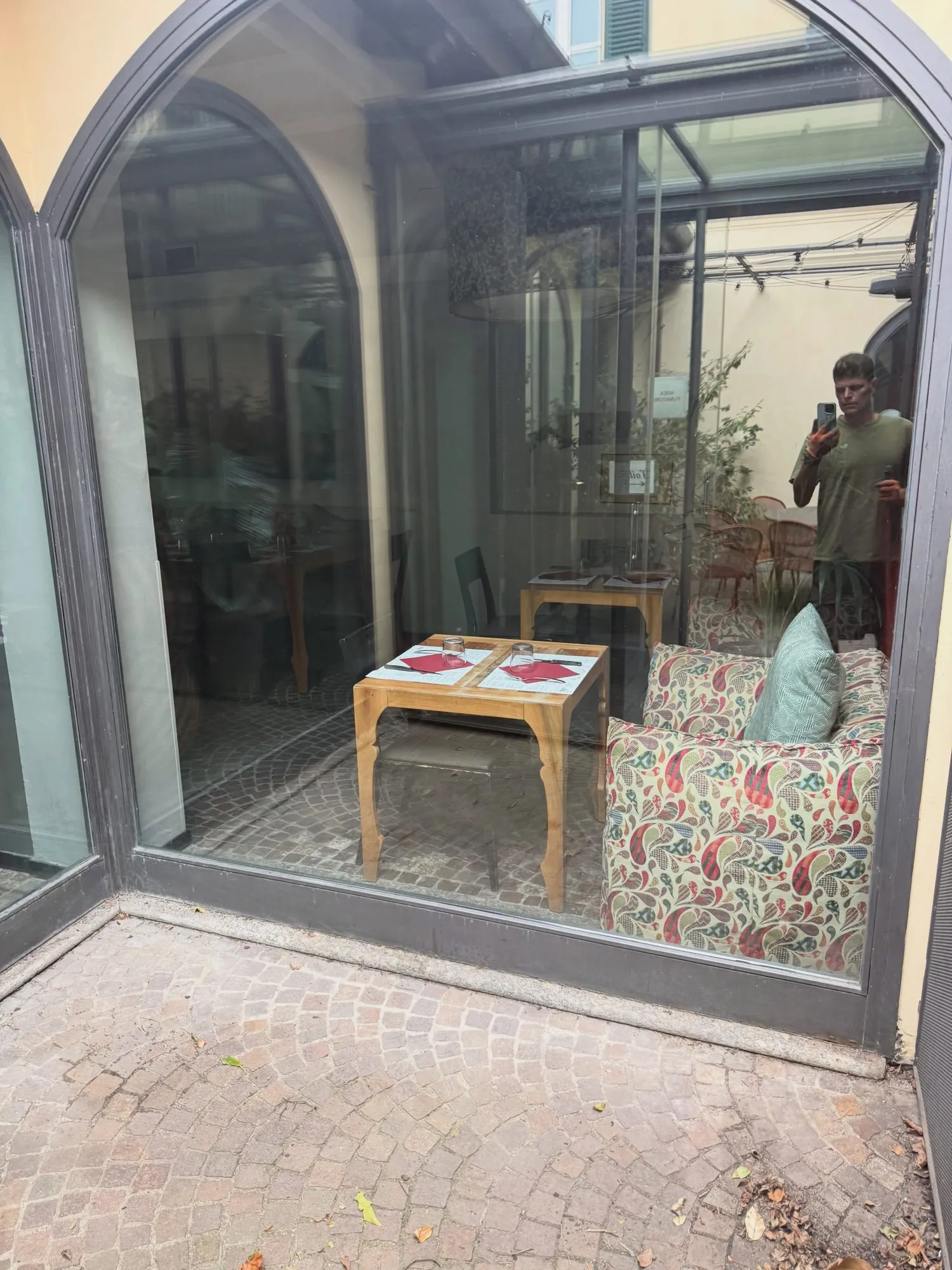 Ulivo secolare messo a dimora in un ristorante sul lago di Lecco, foto 4