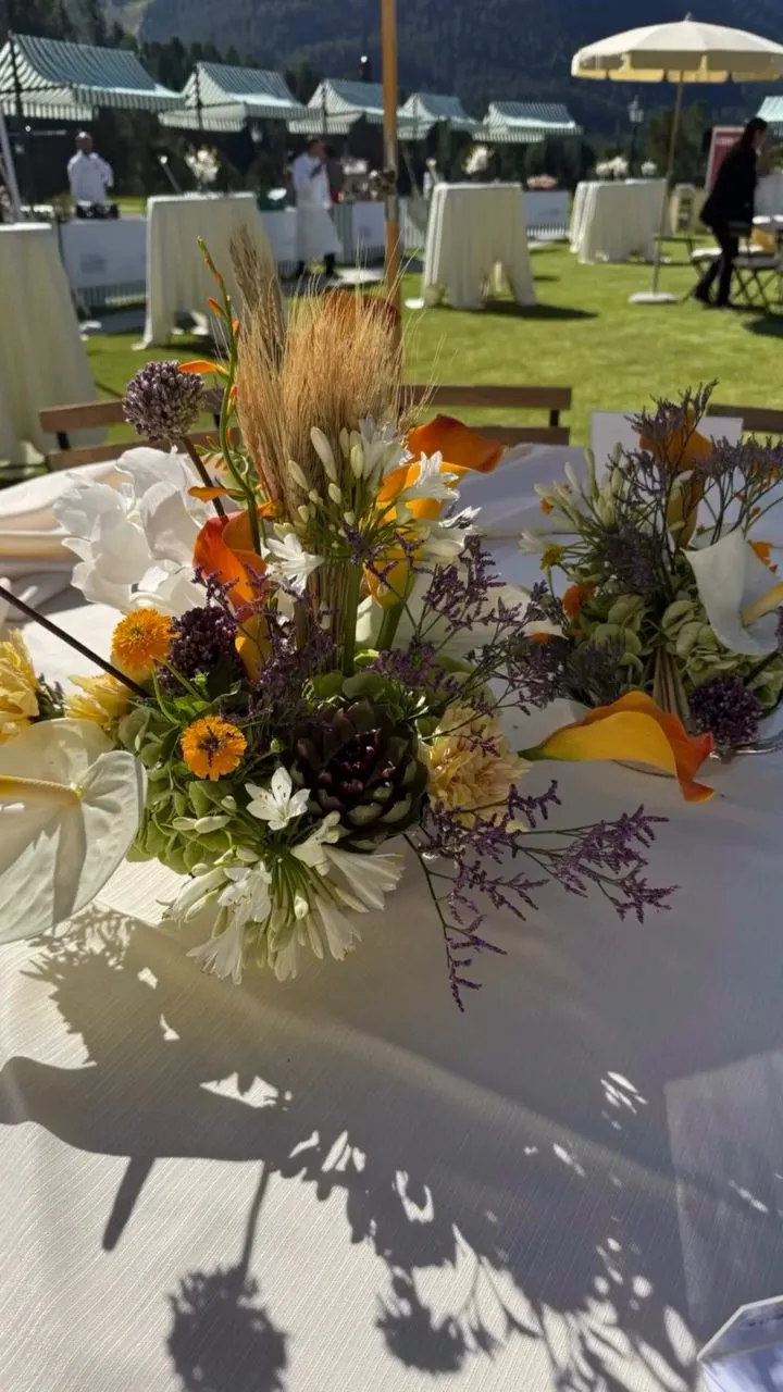 Easy Garden al St. Moritz Gourmet Festival, foto 5