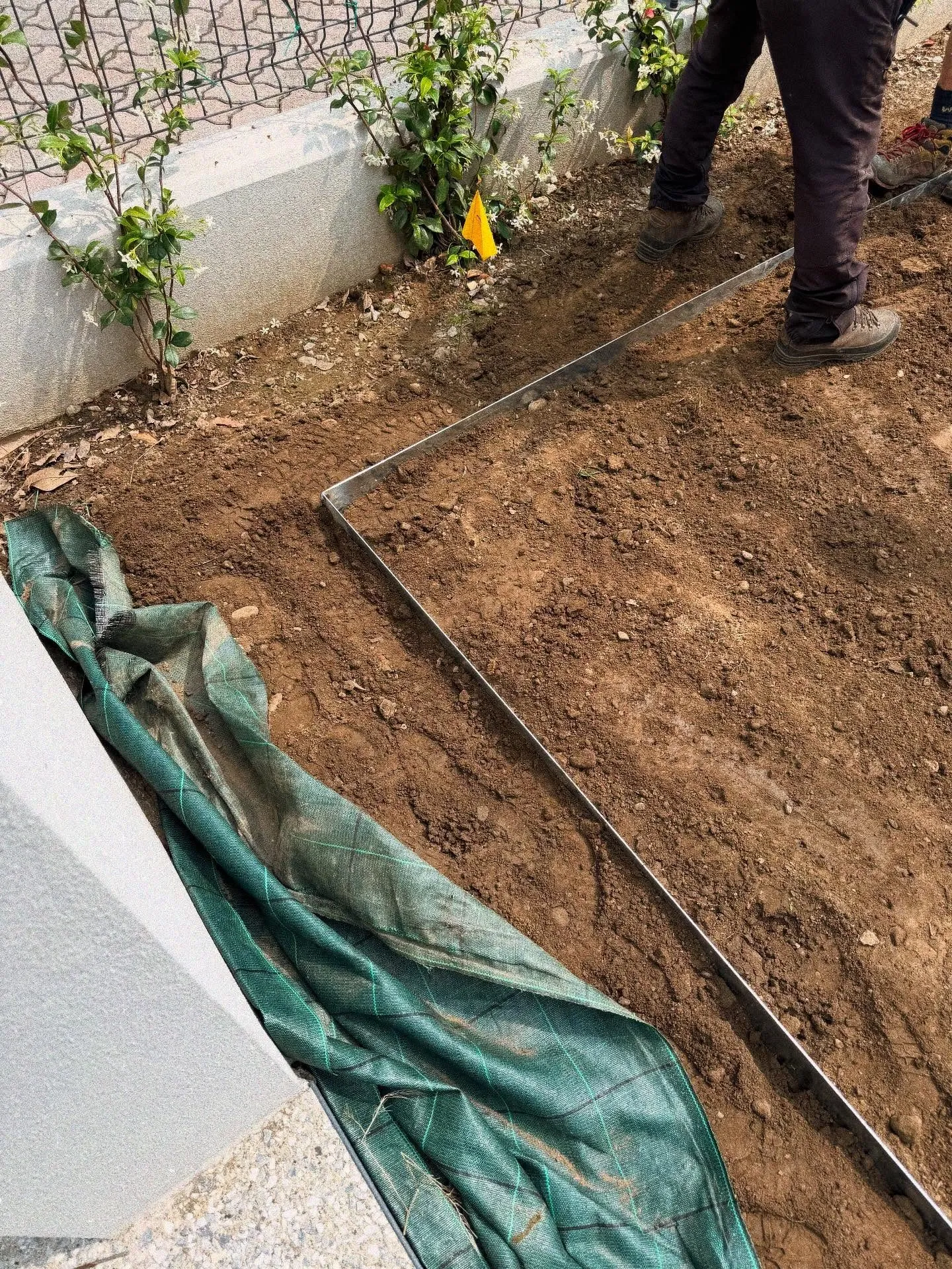 Giardino nuovo con prato a rotoli, irrigazione e ortensie, foto 5
