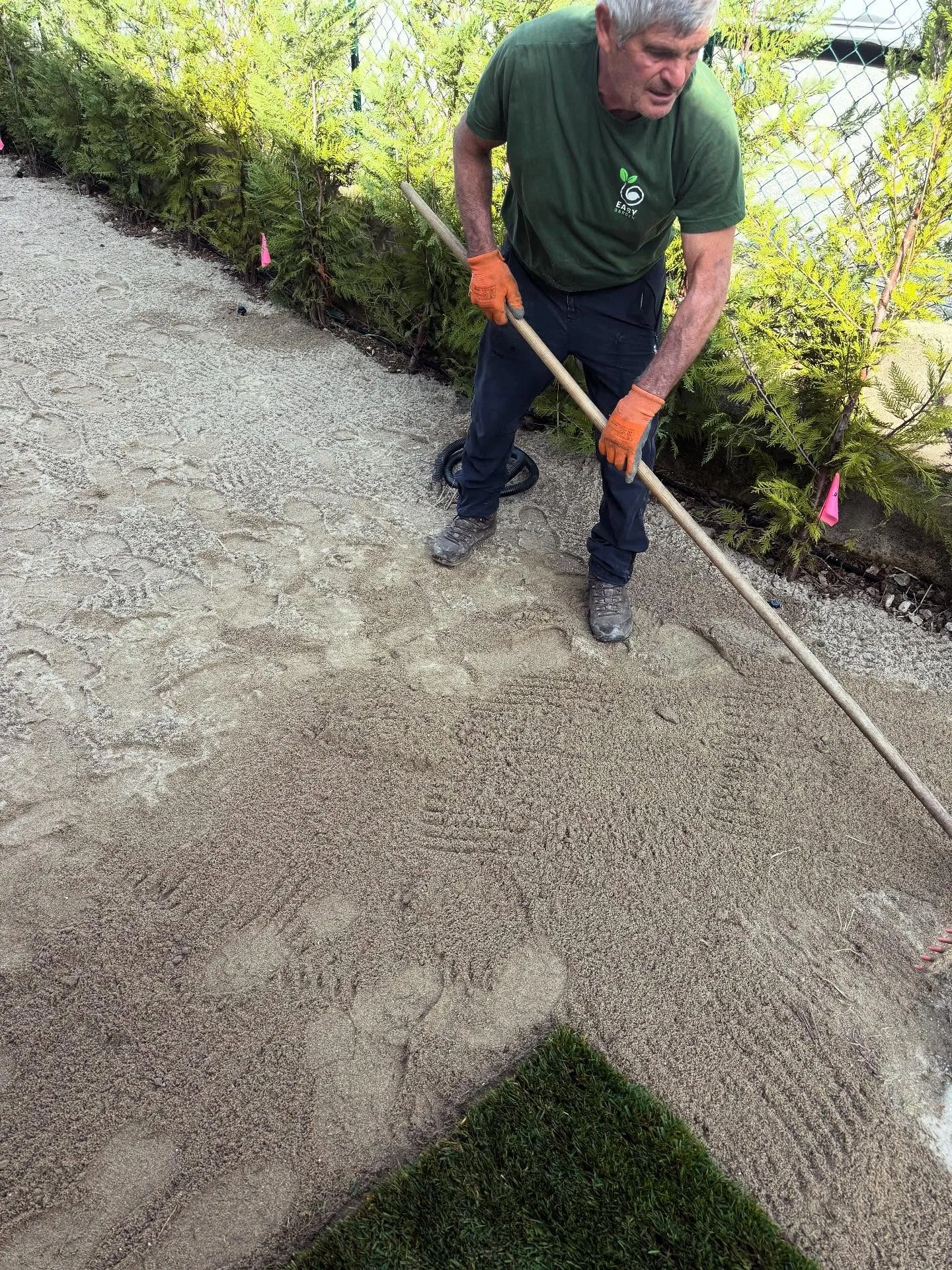 Giardino con graminacee e prato sul lago di Pusiano, foto 5