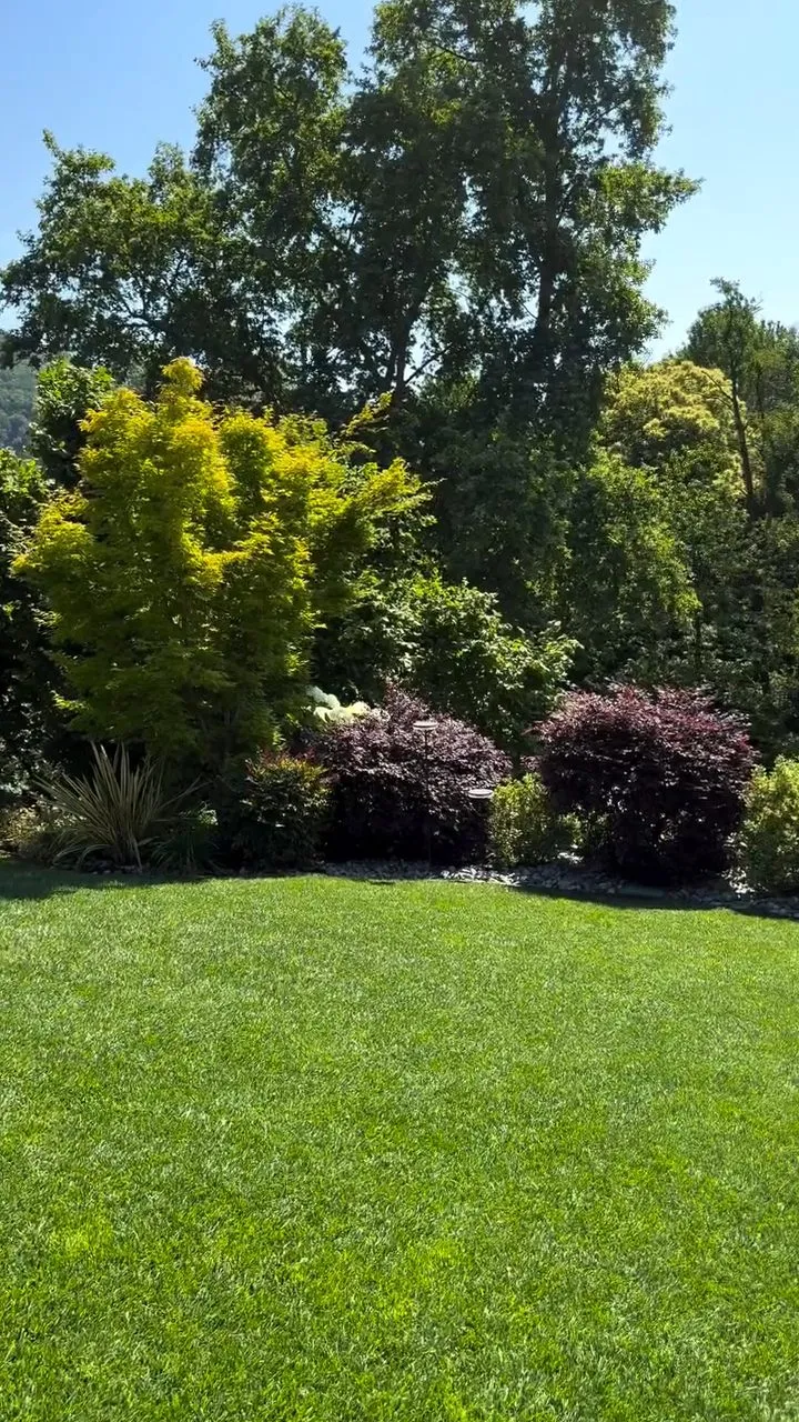 Giardino progettato da Easy Garden, foto 3