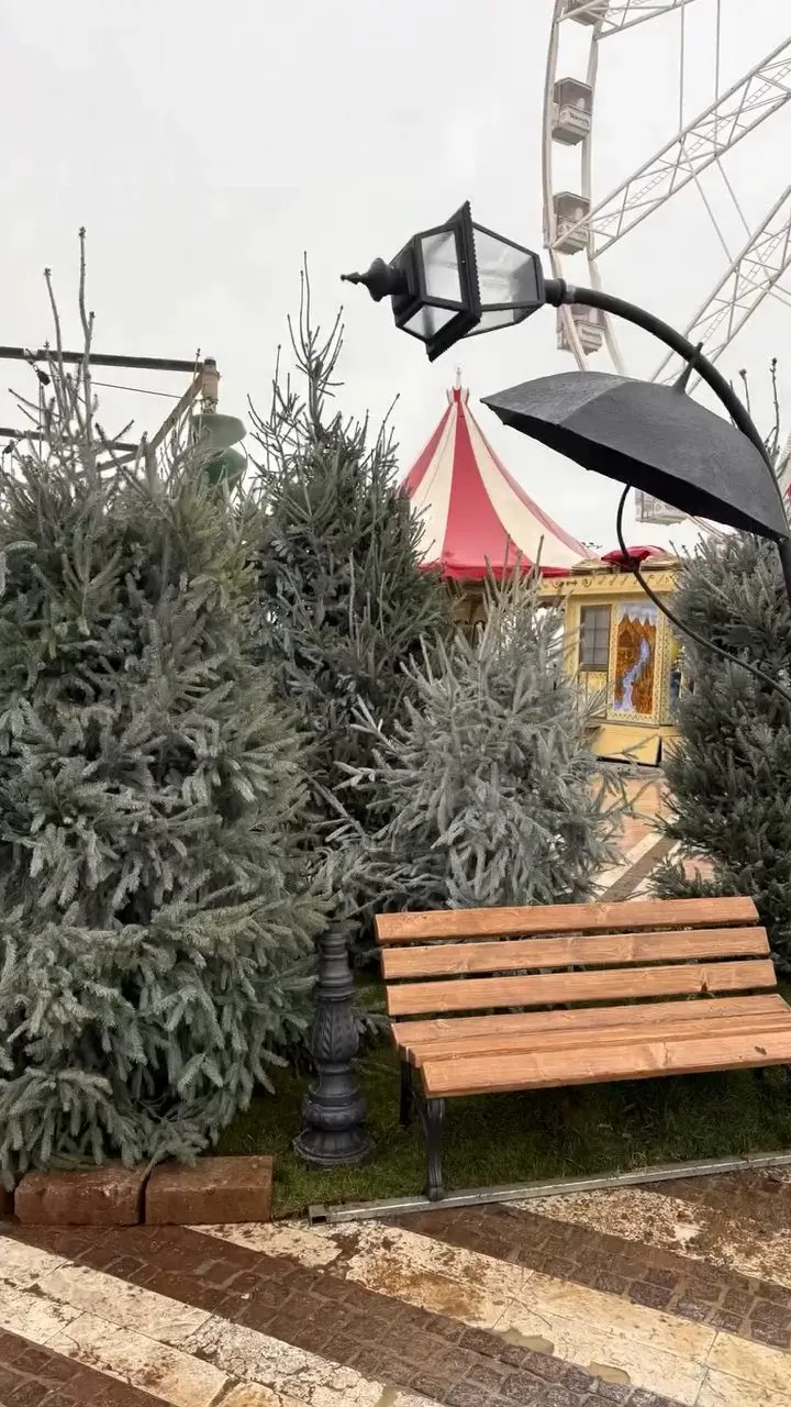 Allestimento verde Easy Garden, foto 4