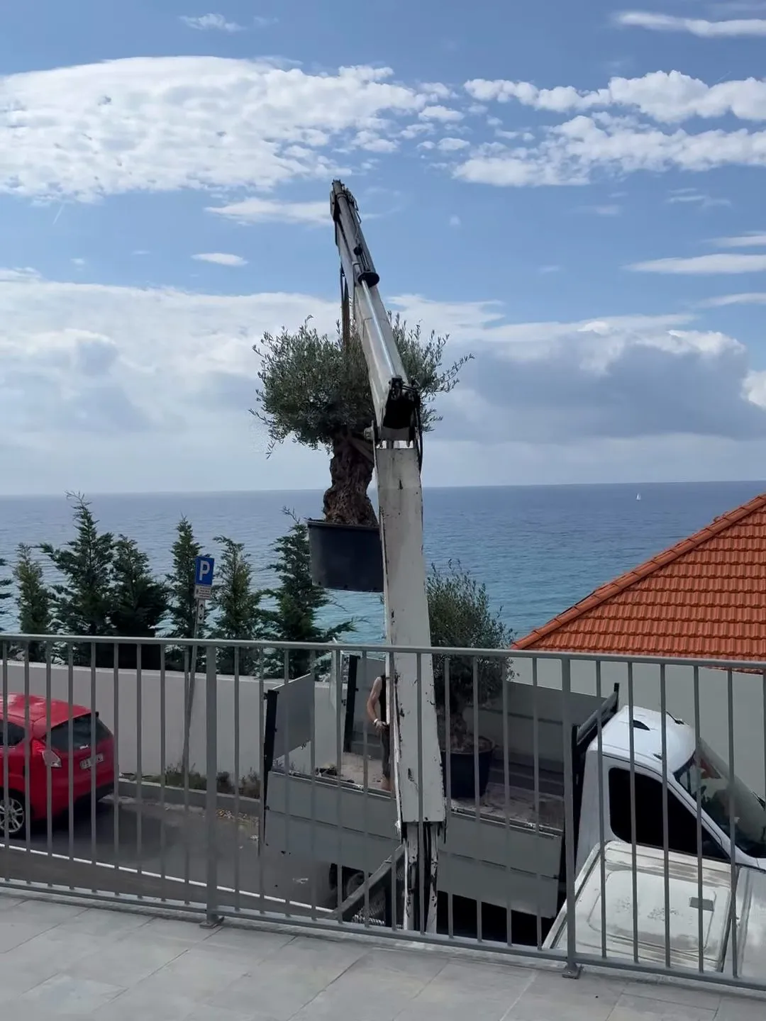 Giardino su terrazzo vista mare ad Albisola Marina, foto 7
