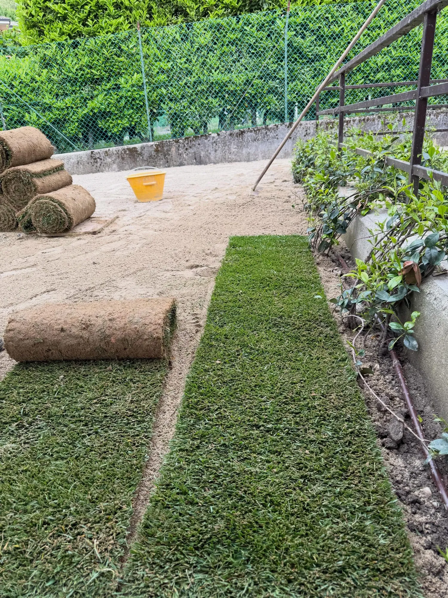 Giardino con terra armata, aiuole e prato a rotoli, foto 9