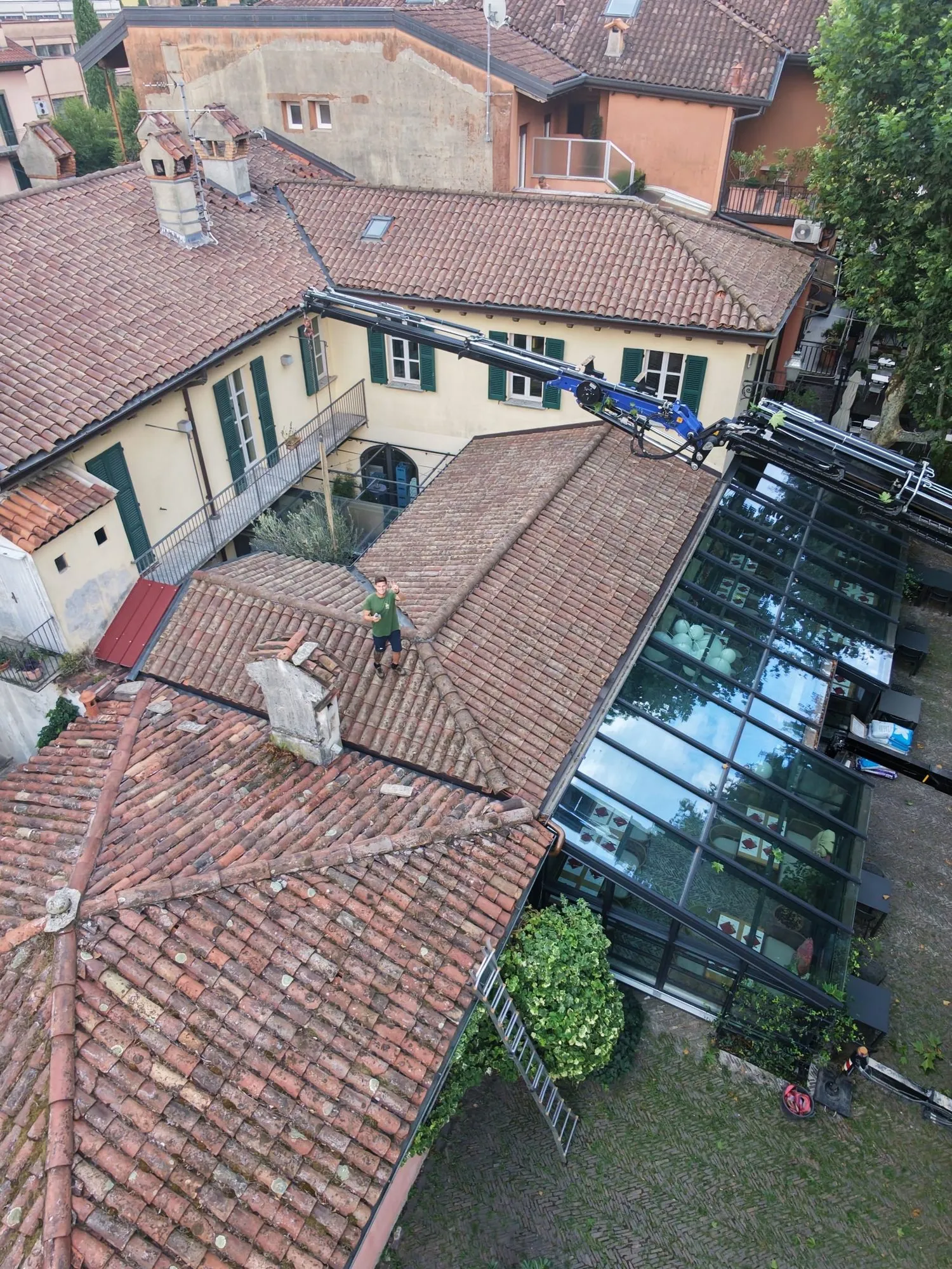 Ulivo secolare messo a dimora in un ristorante sul lago di Lecco, foto 9