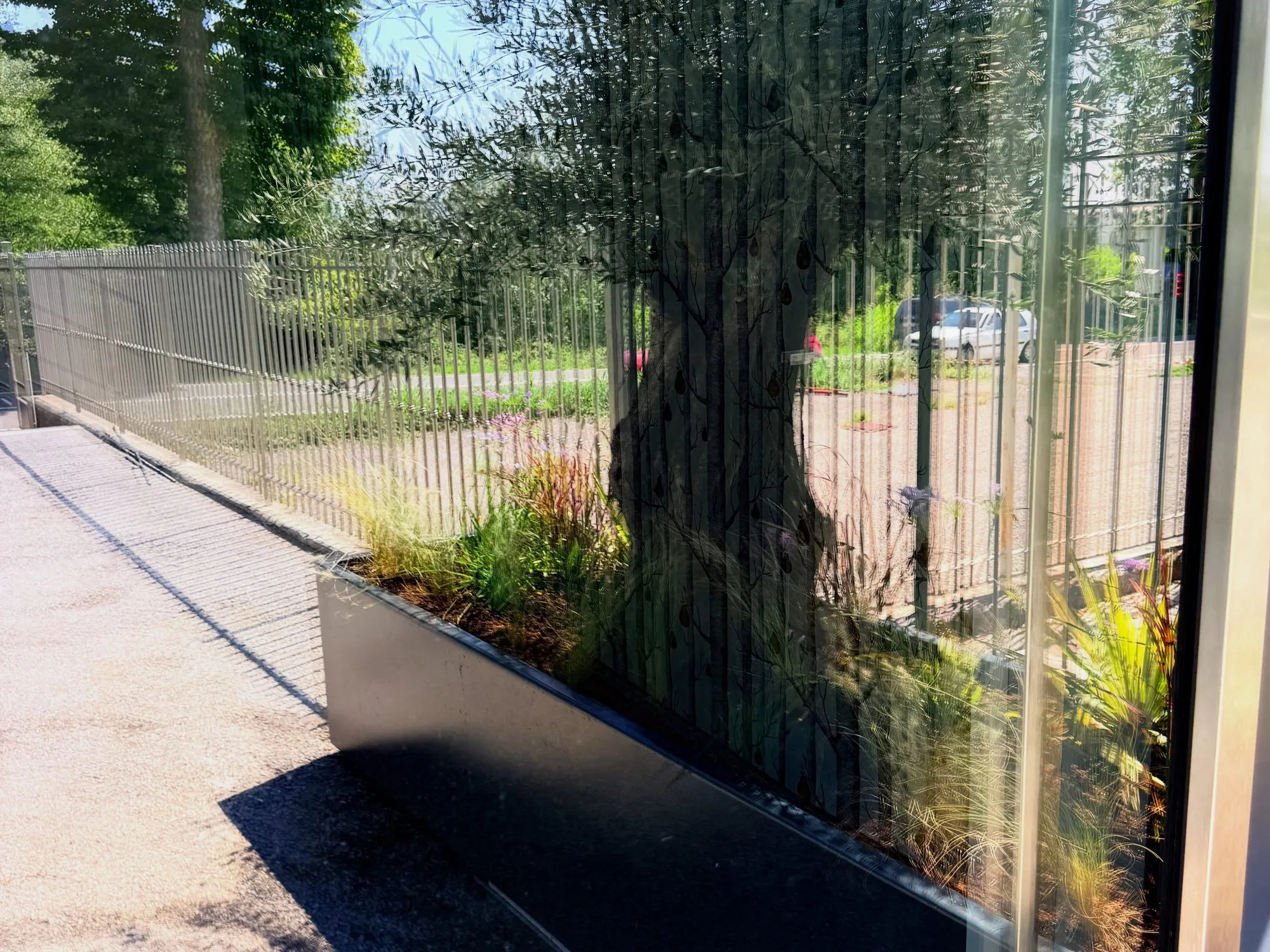 Fioriera su misura con ulivo all’ingresso di un’azienda, foto 8