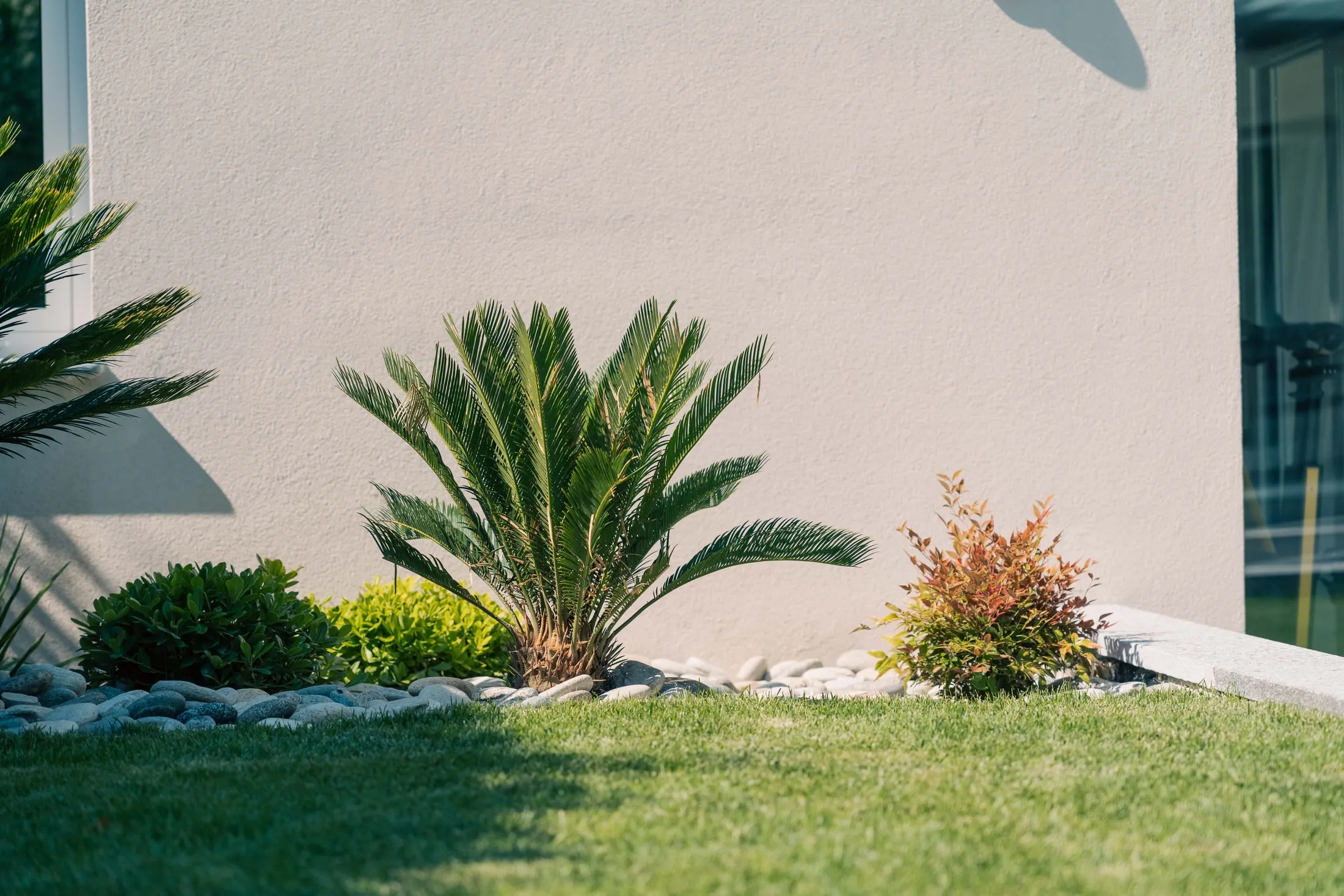 Aiuole e tappeto erboso realizzati da Easy Garden